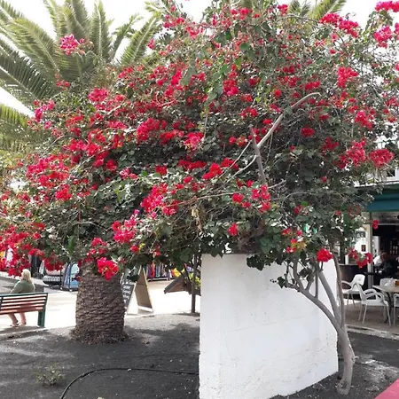 Apartament Sunny Self-catering Costa Teguise, Lanzarote, Spain